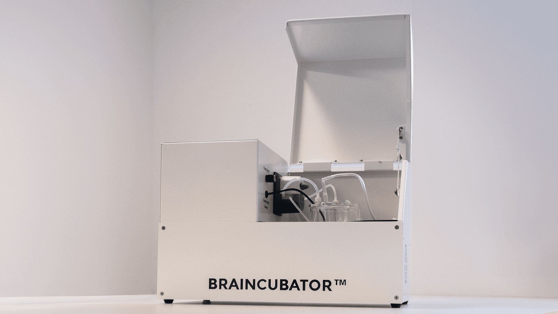 Incubation system extends the usable study time of a brain slice by 300%